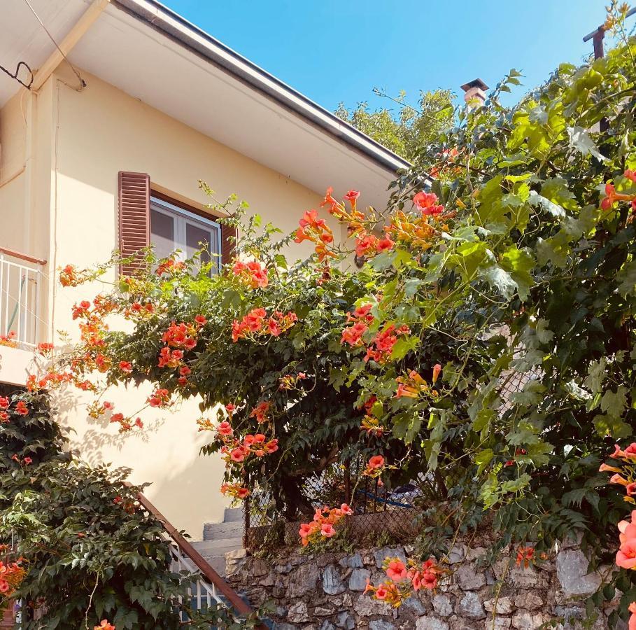 Ortansia Διαμέρισμα Δημητσάνα Εξωτερικό φωτογραφία