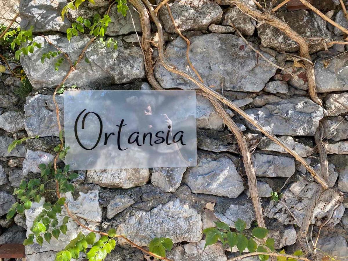 Ortansia Διαμέρισμα Δημητσάνα Εξωτερικό φωτογραφία