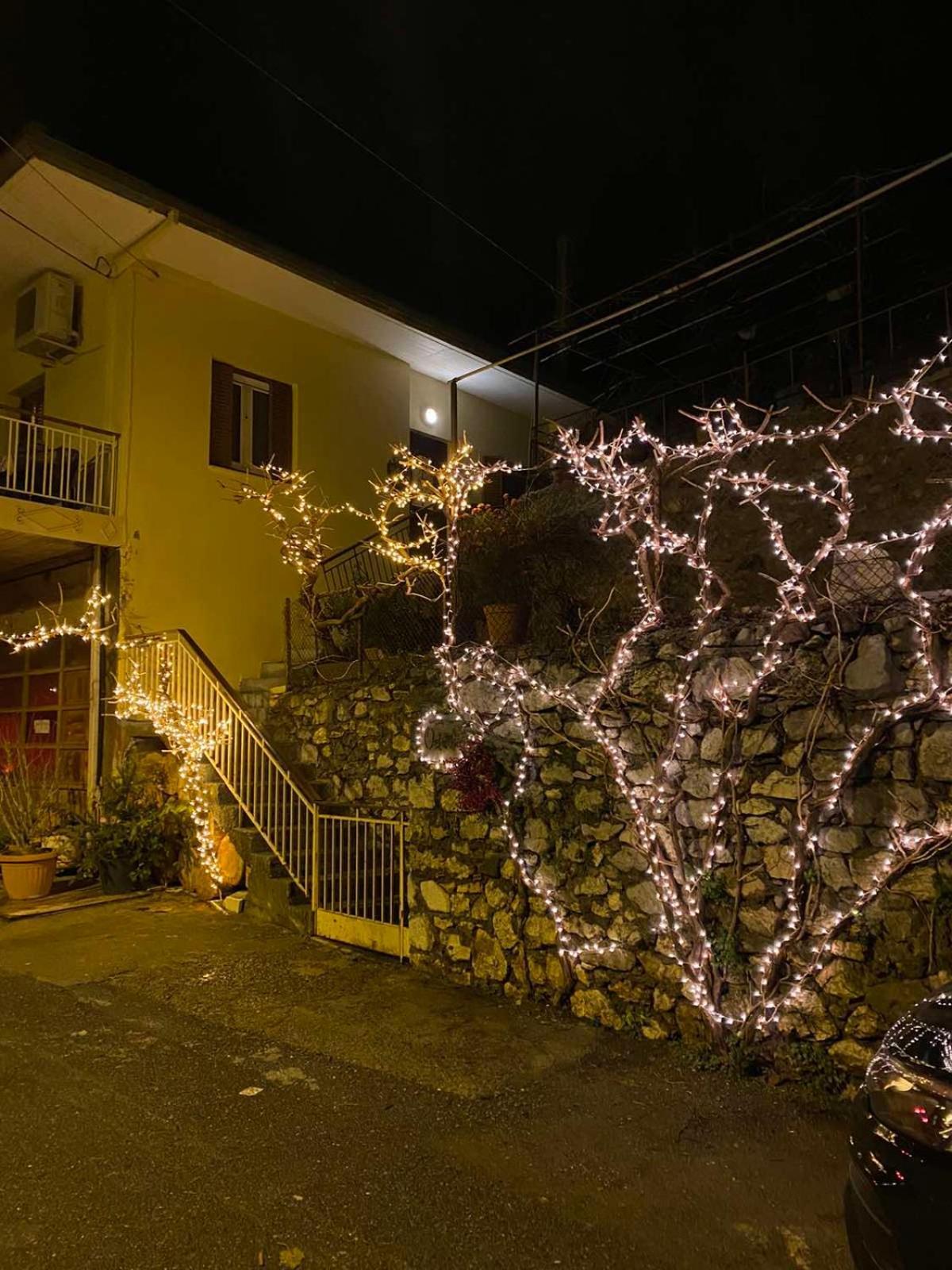 Ortansia Διαμέρισμα Δημητσάνα Εξωτερικό φωτογραφία
