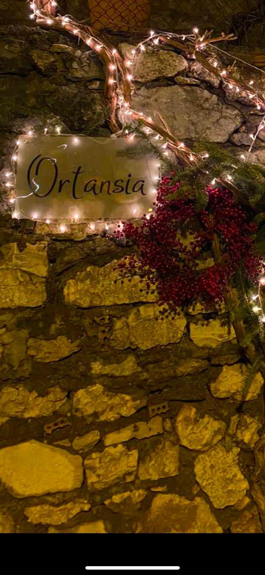Ortansia Διαμέρισμα Δημητσάνα Εξωτερικό φωτογραφία